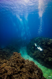 Man swimming in sea