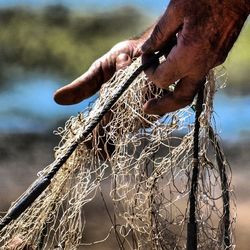 Close-up of cropped hands