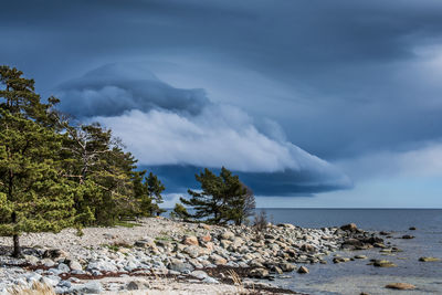 Scenic view of sea against cloudy sky
