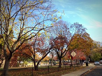 Bare trees against sky during autumn