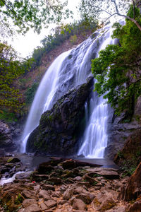 View of waterfall in forest