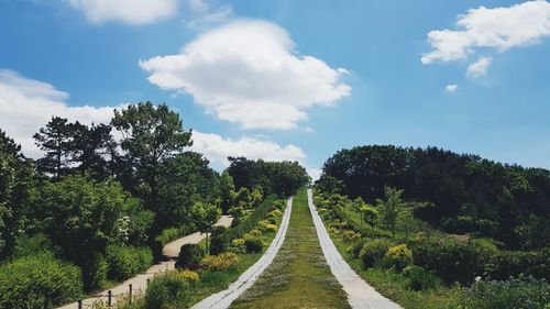 Panoramic view of footpath amidst trees against sky