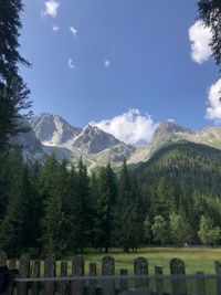 Scenic view of trees and mountains against sky