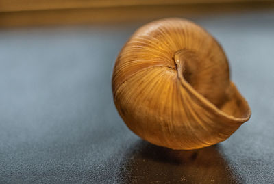 High angle view of bread on table