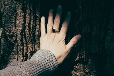 Cropped hand of woman touching tree trunk