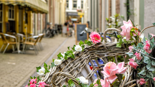 Close-up of pink roses in basket