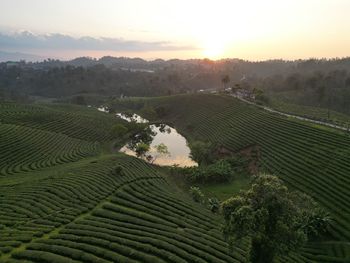 landscape