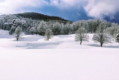 snow