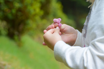 Close-up of hand holding small flower