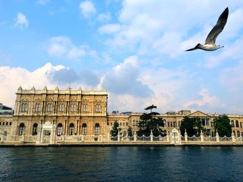 Birds flying over building against sky