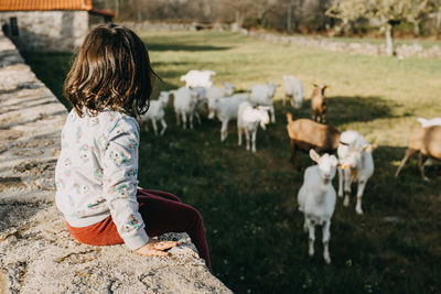 Rear view girl looking at goats