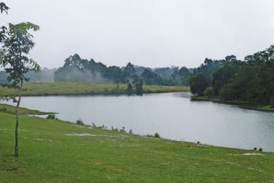 Scenic view of lake by field against clear sky