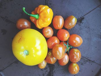 High angle view of tomatoes