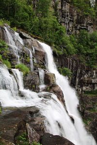 Scenic view of waterfall in forest