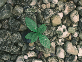 Full frame shot of stones