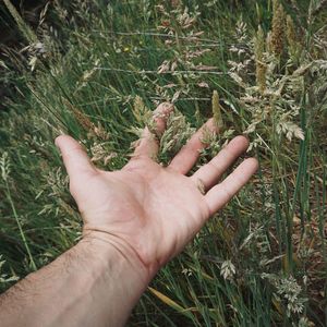 Cropped hand of man holding plants