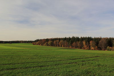 Scenic view of agricultural field against sky