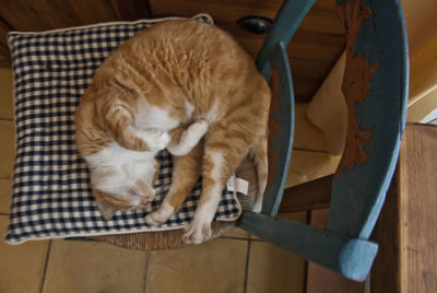 High angle view of cat sleeping on chair