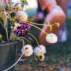 Cropped hand holding flowers