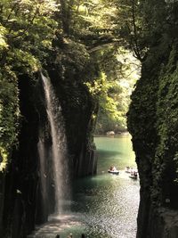 Scenic view of waterfall in forest