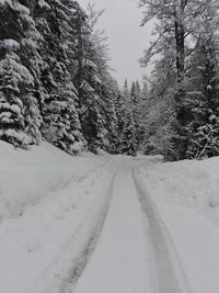 Road amidst trees against sky during winter