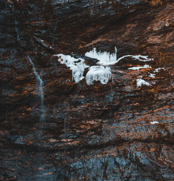 Snow covered in cave