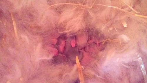 Full frame shot of fire