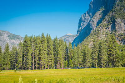 Scenic view of trees and mountains against blue sky