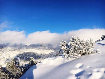 Snow covered landscape against blue sky