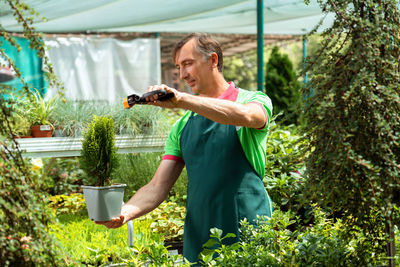 Gardener working at greenhouse