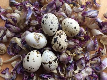 High angle view of eggs with purple flowers on table