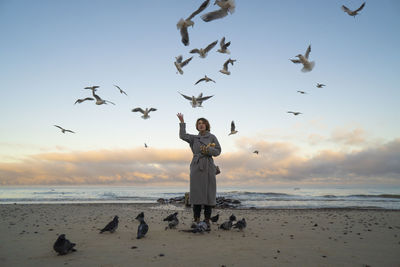 Woman feeding seagulls and pigeons at beach