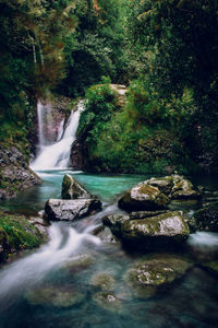 Waterfall in forest