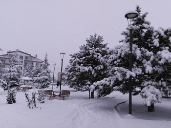 Trees on snow covered street against sky