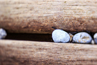 Close-up of ball on beach