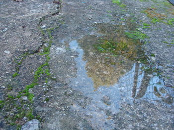 High angle view of puddle on road