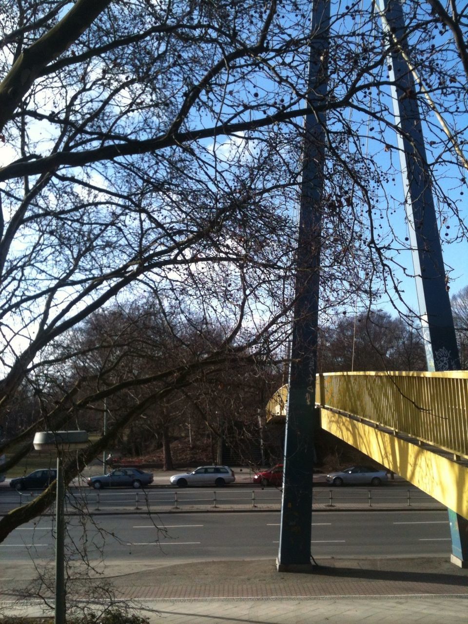 tree, bare tree, built structure, architecture, building exterior, branch, railing, sky, city, tree trunk, day, the way forward, transportation, sunlight, road, outdoors, street, shadow, nature, incidental people