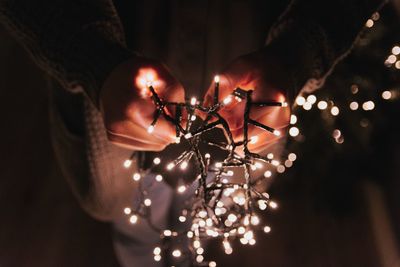 Close-up of person holding fairy lights