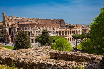 Tourists visiting the famous colosseum in rome in a beautiful early spring day