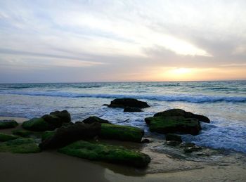 Scenic view of sea at sunset