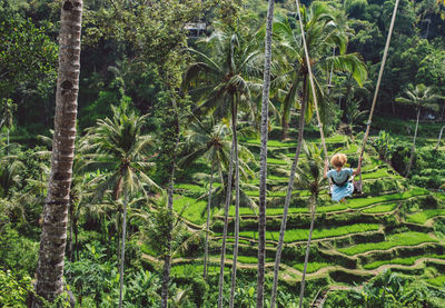 Man amidst trees in forest