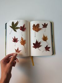 Close-up of hand holding leaves over book