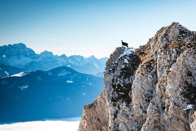 Scenic view of mountains against clear blue sky