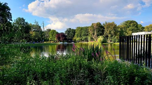 Scenic view of lake by trees against sky