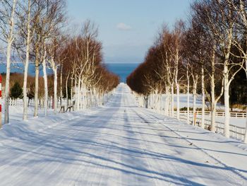 Snow covered land and trees against sky