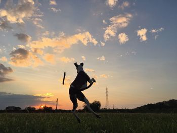 Silhouette man playing on field against sky during sunset