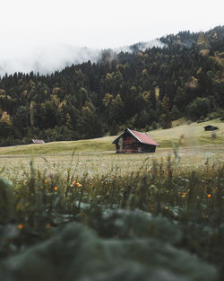 Scenic view of field by trees against sky