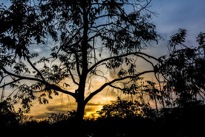 Low angle view of silhouette trees against sky at sunset