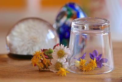 Close-up of flowers in glass jar on table