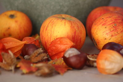 Close-up of food